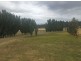 1251 Arthur Highway, Forcett TAS 7173