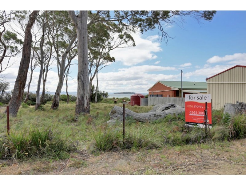 115 Sloping Main Drive, Sloping Main TAS 7186