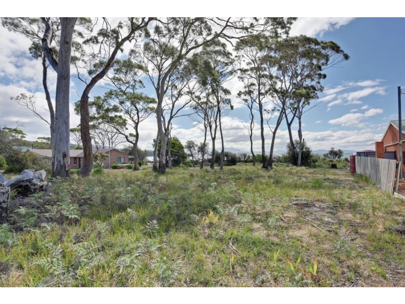 115 Sloping Main Drive, Sloping Main TAS 7186