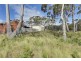 115 Sloping Main Drive, Sloping Main TAS 7186
