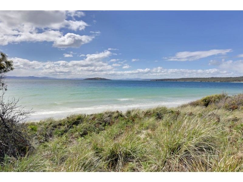 115 Sloping Main Drive, Sloping Main TAS 7186