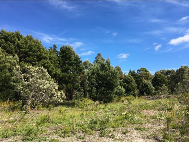4551 Arthur Highway, Murdunna TAS 7178