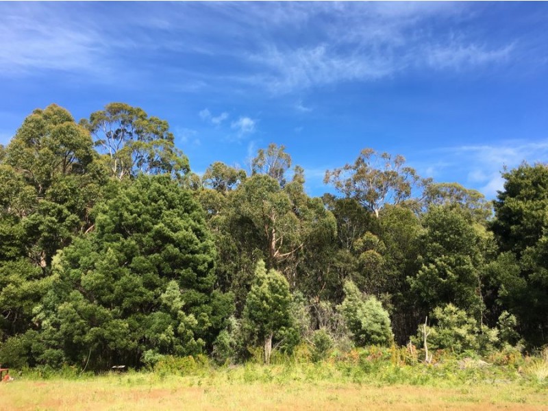4551 Arthur Highway, Murdunna TAS 7178