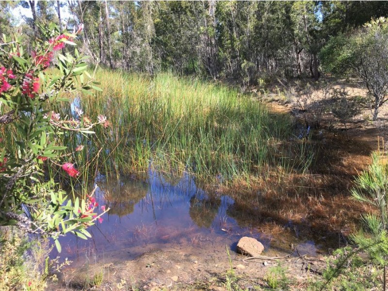 4551 Arthur Highway, Murdunna TAS 7178