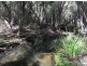 4551 Arthur Highway, Murdunna TAS 7178