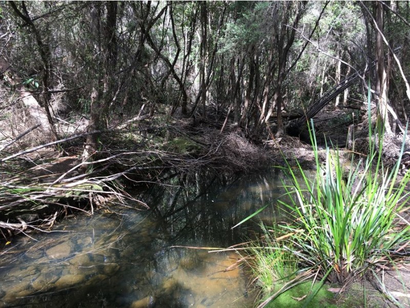 4551 Arthur Highway, Murdunna TAS 7178