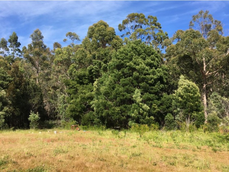 4551 Arthur Highway, Murdunna TAS 7178