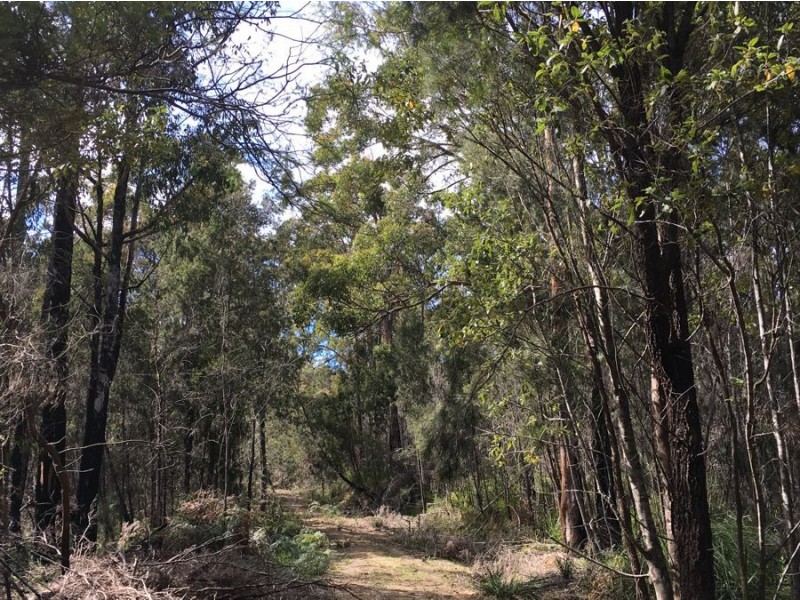 4551 Arthur Highway, Murdunna TAS 7178
