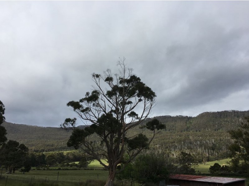 16 Tasman Arch Rd, Eaglehawk Neck TAS 7179