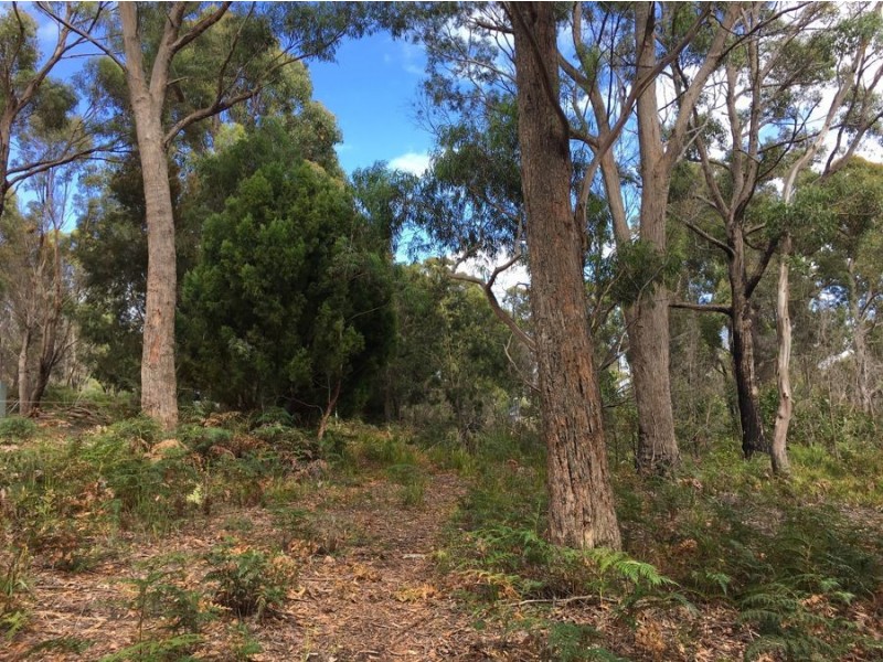 17 Hawker Street, Murdunna TAS 7178
