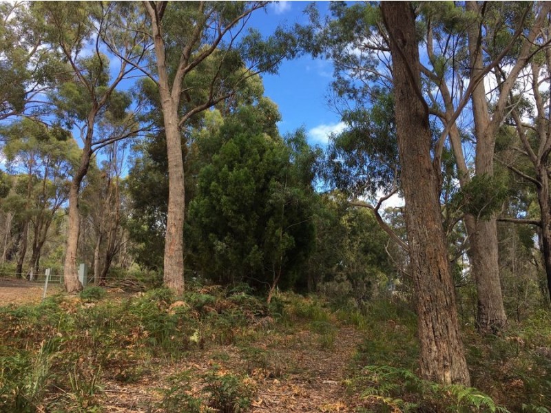 17 Hawker Street, Murdunna TAS 7178