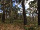 17 Hawker Street, Murdunna TAS 7178
