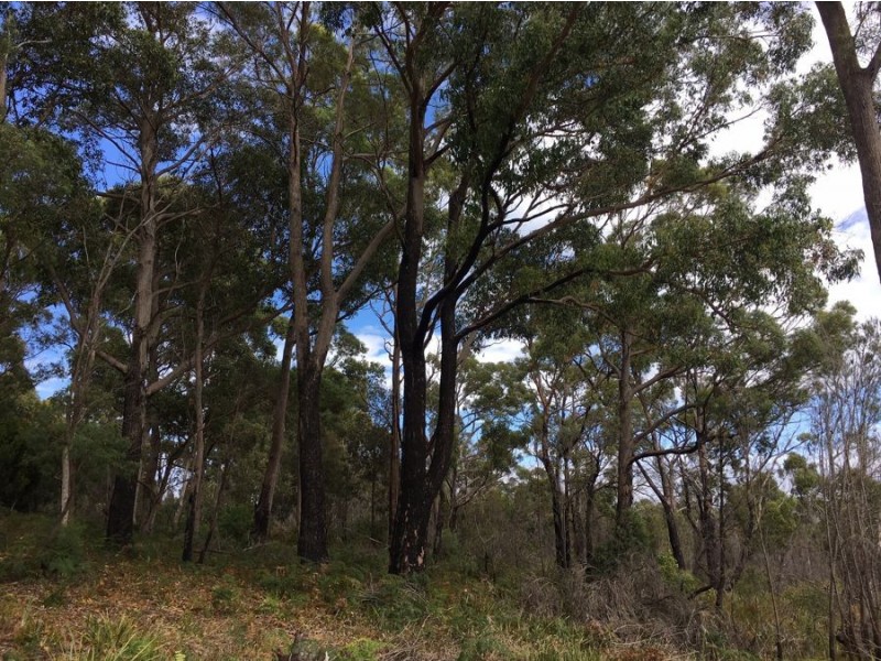 17 Hawker Street, Murdunna TAS 7178