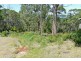 142 Blowhole Road, Eaglehawk Neck TAS 7179