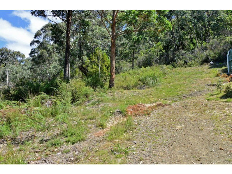 142 Blowhole Road, Eaglehawk Neck TAS 7179