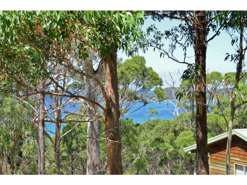 142 Blowhole Road, Eaglehawk Neck TAS 7179
