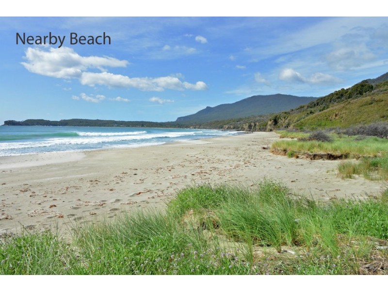 142 Blowhole Road, Eaglehawk Neck TAS 7179