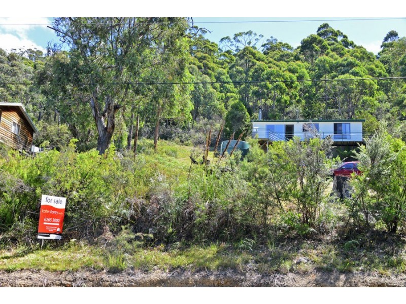 142 Blowhole Road, Eaglehawk Neck TAS 7179