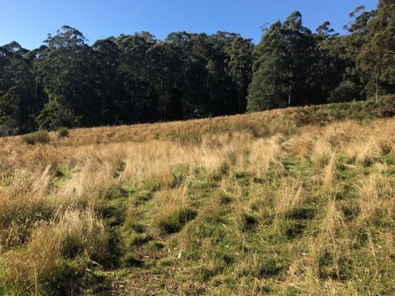271 Nubeena Back Road, Nubeena TAS 7184