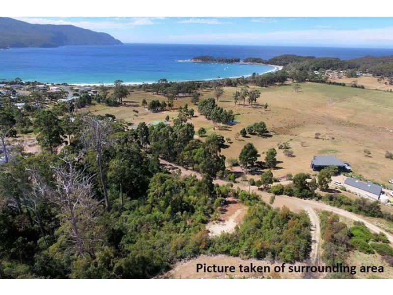 Lot 3 Richardsons Drive, Eaglehawk Neck TAS 7179