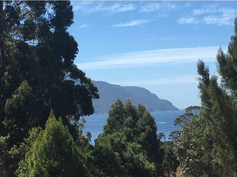 Lot 3 Richardsons Drive, Eaglehawk Neck TAS 7179