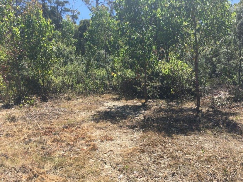 Lot 3 Richardsons Drive, Eaglehawk Neck TAS 7179