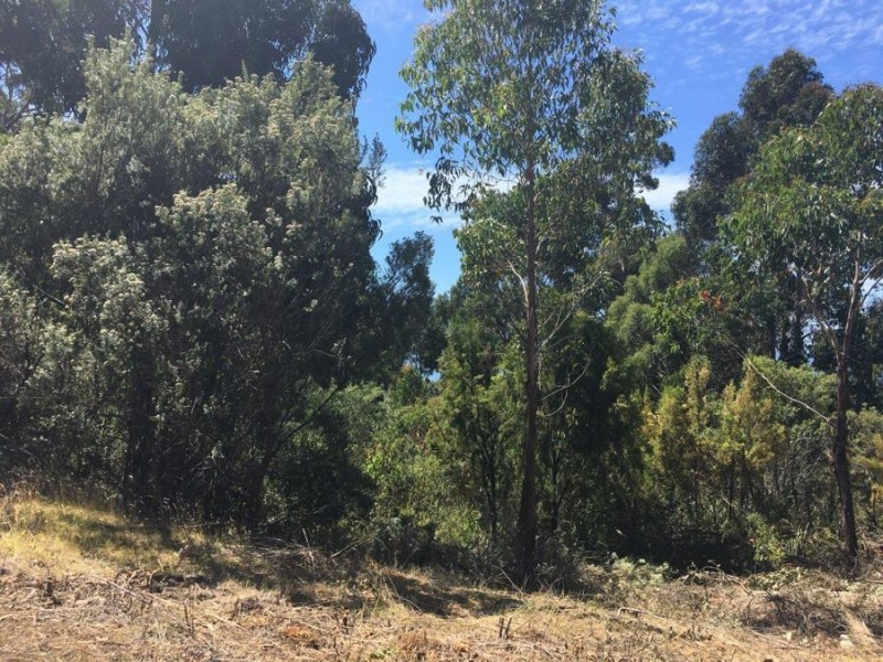 Lot 3 Richardsons Drive, Eaglehawk Neck TAS 7179