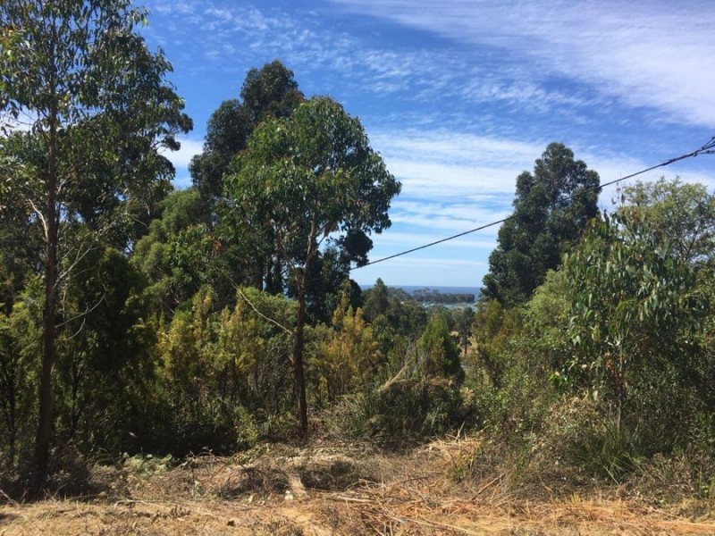 Lot 3 Richardsons Drive, Eaglehawk Neck TAS 7179