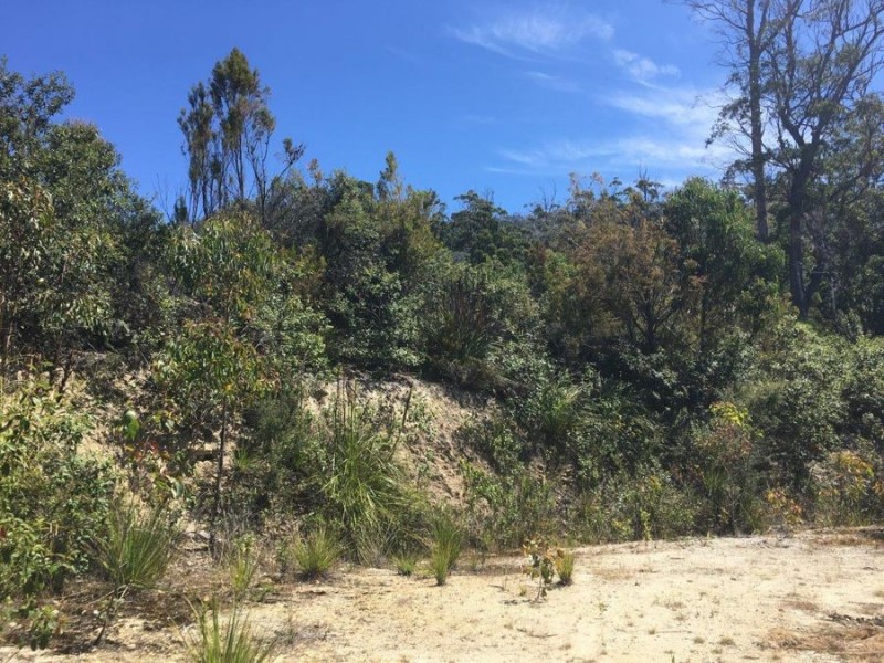 Lot 3 Richardsons Drive, Eaglehawk Neck TAS 7179