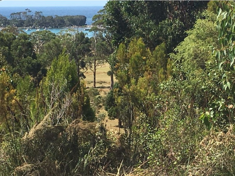 Lot 3 Richardsons Drive, Eaglehawk Neck TAS 7179