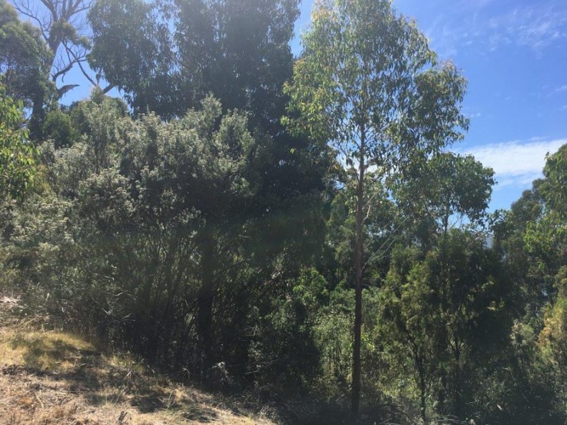 Lot 3 Richardsons Drive, Eaglehawk Neck TAS 7179
