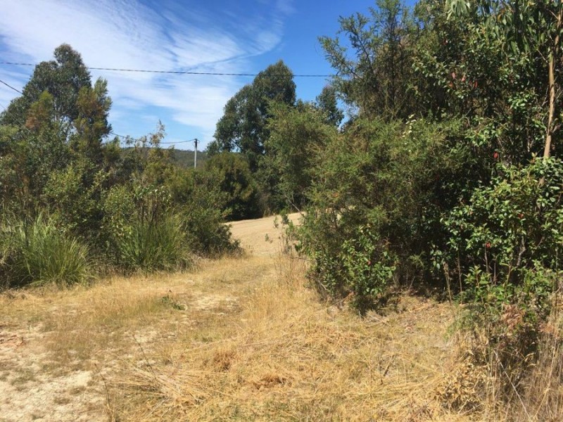 Lot 3 Richardsons Drive, Eaglehawk Neck TAS 7179