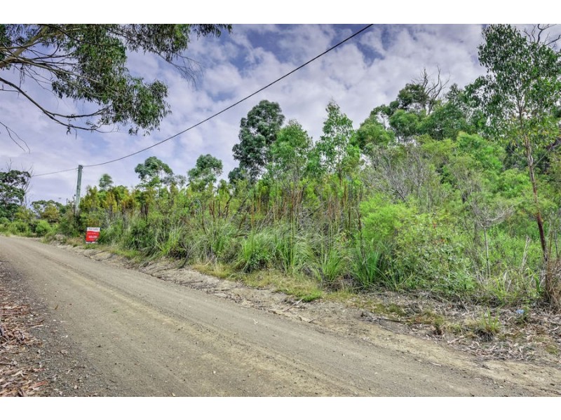 Lot 3 Richardsons Drive, Eaglehawk Neck TAS 7179