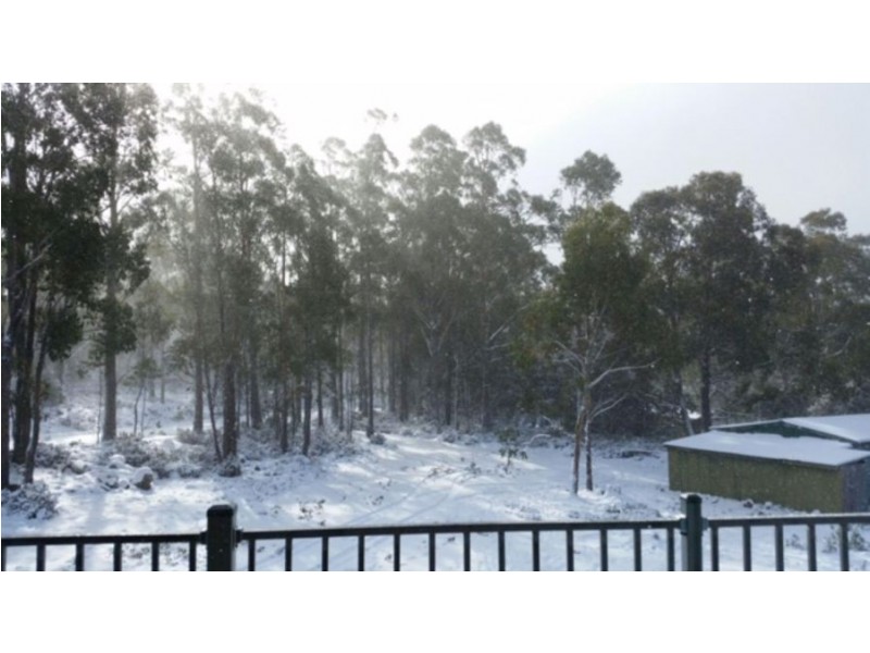 774 Arthurs Lake Road, Arthurs Lake TAS 7030