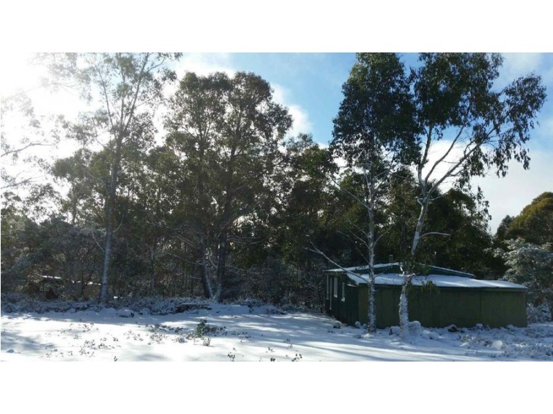 774 Arthurs Lake Road, Arthurs Lake TAS 7030