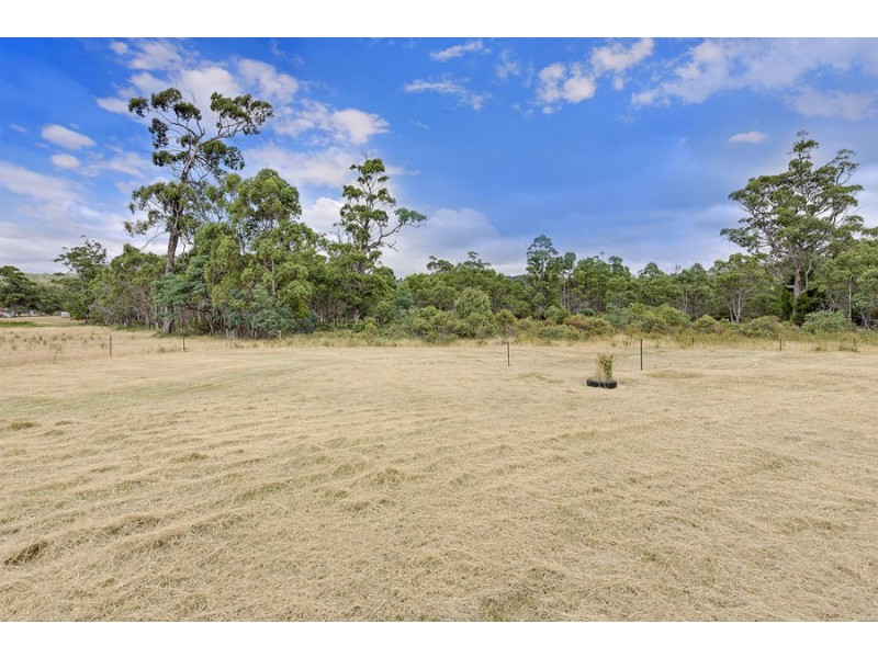 1145 Woodsdale Road, Levendale TAS 7120