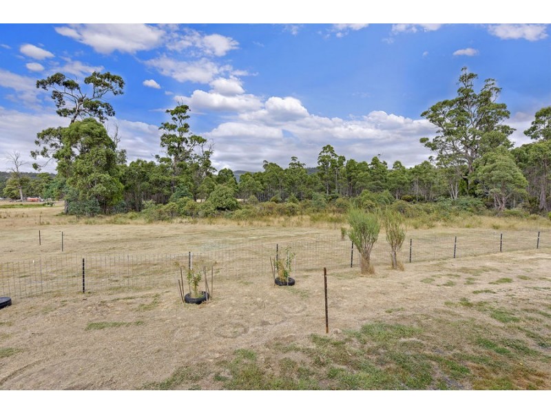 1145 Woodsdale Road, Levendale TAS 7120