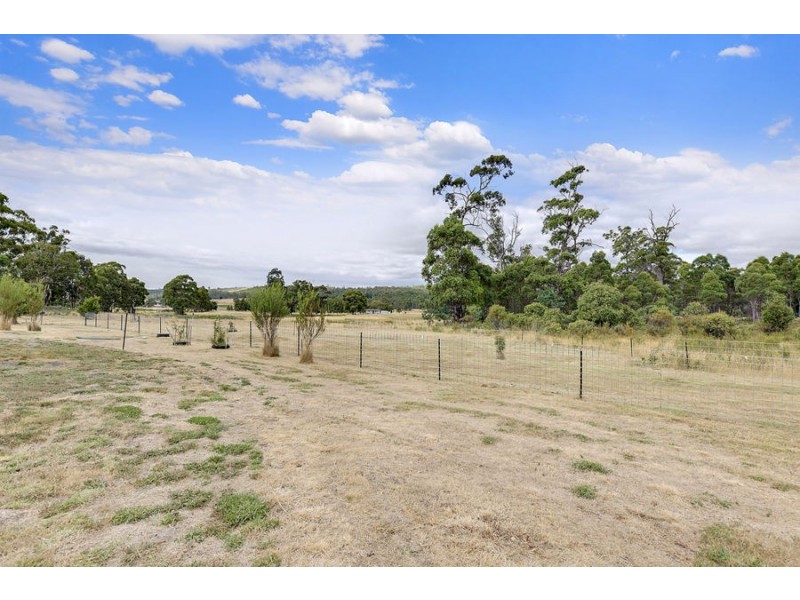 1145 Woodsdale Road, Levendale TAS 7120