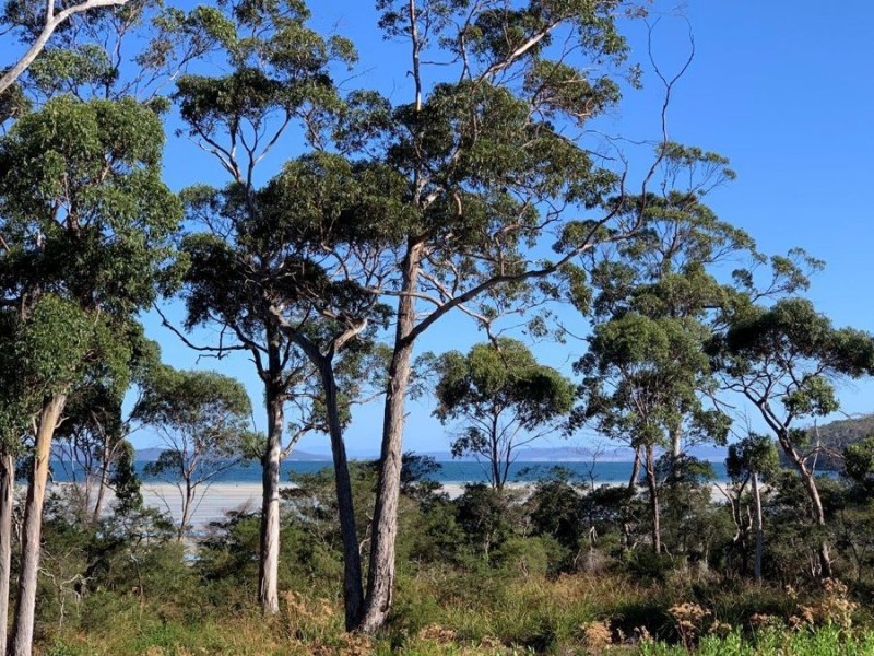 Lot 2 Nubeena Road, Taranna TAS 7180