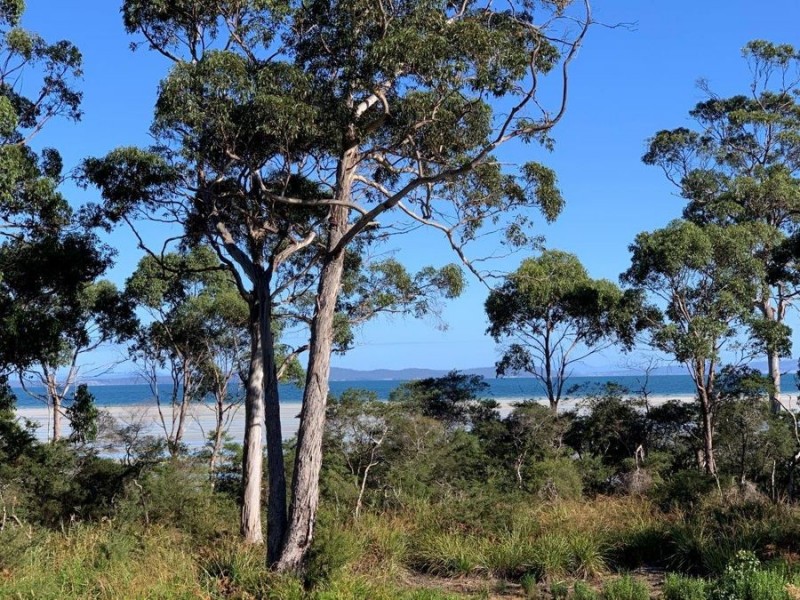 Lot 2 Nubeena Road, Taranna TAS 7180