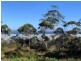 Lot 2 Nubeena Road, Taranna TAS 7180