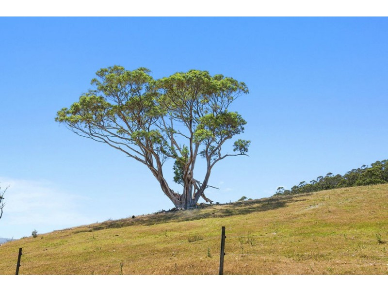 Lot 2 Fire Tower Road, Koonya TAS 7187
