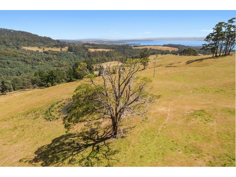 Lot 2 Fire Tower Road, Koonya TAS 7187