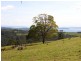 Lot 2 Fire Tower Road, Koonya TAS 7187