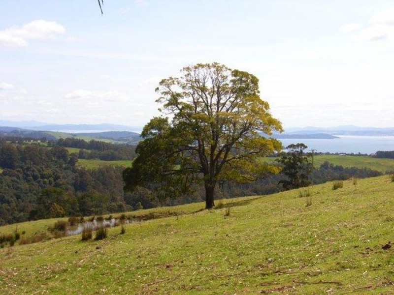 Lot 2 Fire Tower Road, Koonya TAS 7187