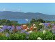 29 Gwen Road, Port Arthur TAS 7182