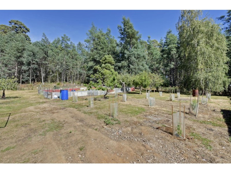 6429 Arthur Highway, Port Arthur TAS 7182