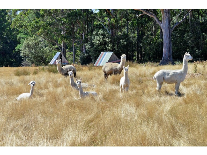 147 Marsh Road, Nubeena TAS 7184