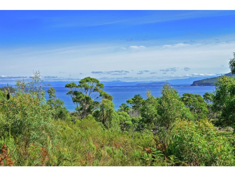 L1/225 White Beach Road, White Beach TAS 7184