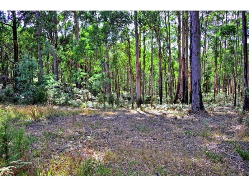 35 Hansens Road, Highcroft TAS 7183